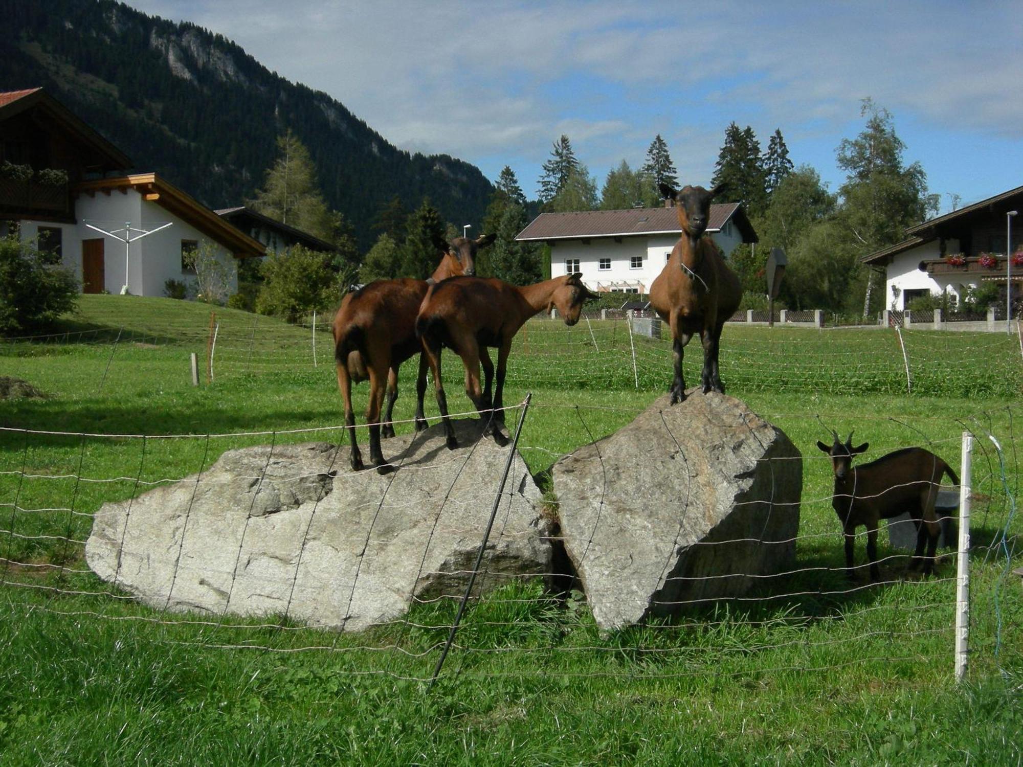 Hotel S'Hoamatl Höfen Exteriér fotografie